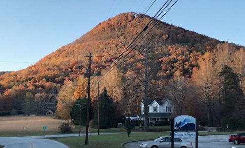 Traces of Tiger Retirement Tiger