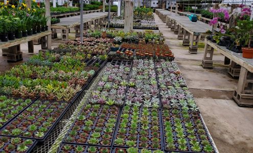 Holub Garden & Greenhouses