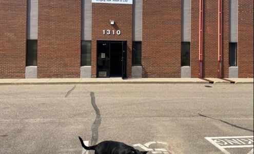 Infinite Floors & More