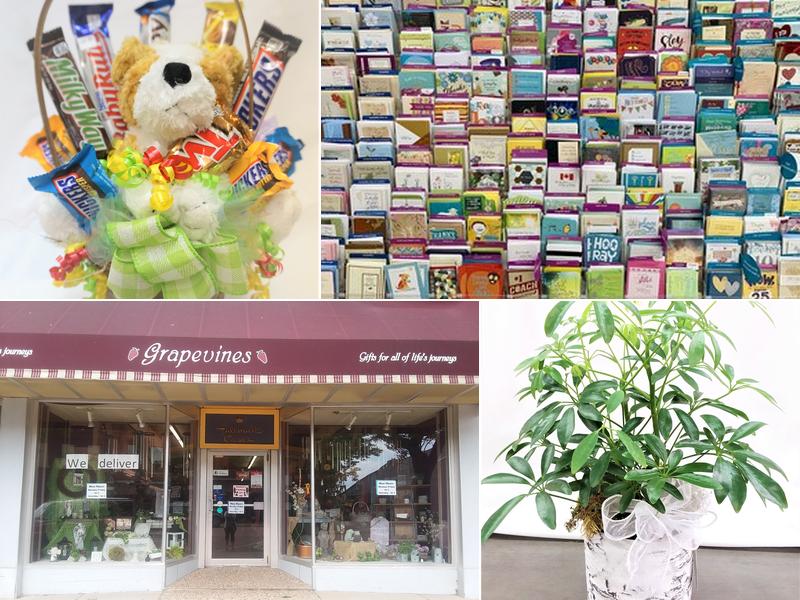 Grapevines Flower Garden