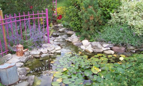 Sollecito Landscaping Nursery