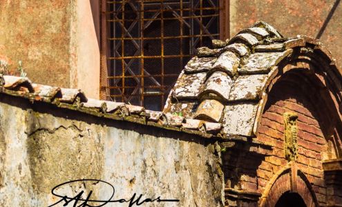 sldallas photography