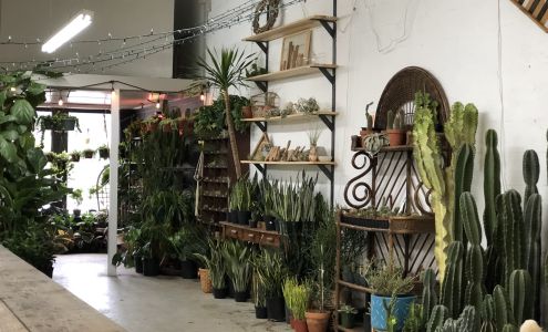 Lawrence & Clarke Cacti Co