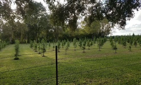 Beaver's Christmas Tree Farm Nome