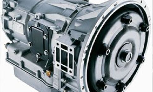 South Eddy Tranz West Branch