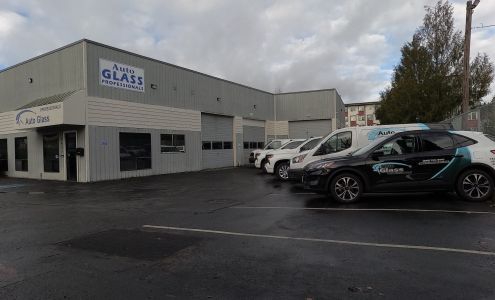 Auto Glass Professionals
