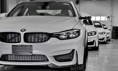 Adonis Paint Protection