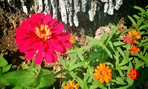 Indian Wells RV Detail