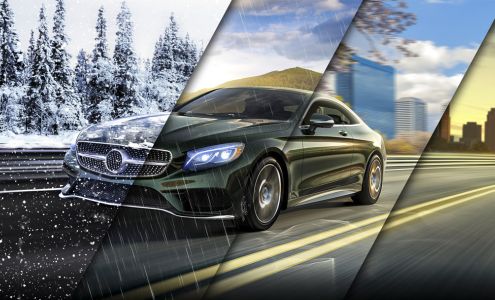 Platinum Window Tinting