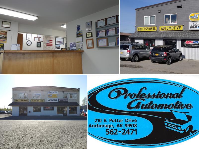 Professional Automotive