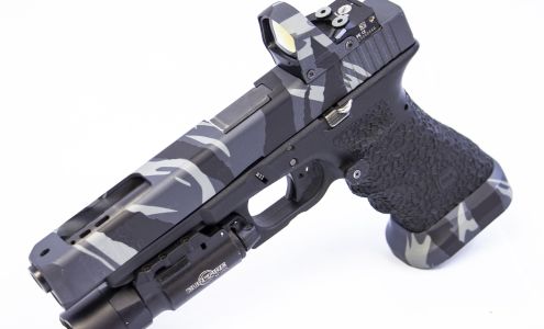 Pro 2 Customs (We Plead The 2nd)