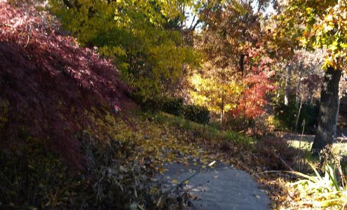 Straight Shooters Precision Airguns