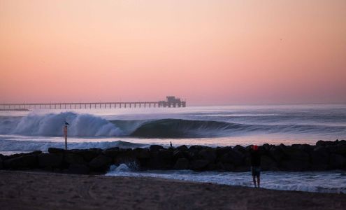 Dan Taylor Surfboards