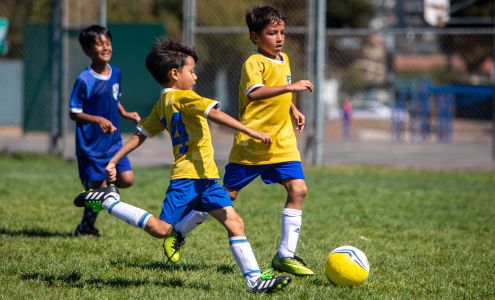 Albany Berkeley Soccer Club