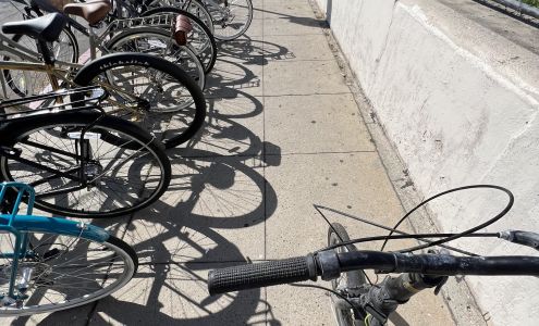 The Bicycle Whisperer