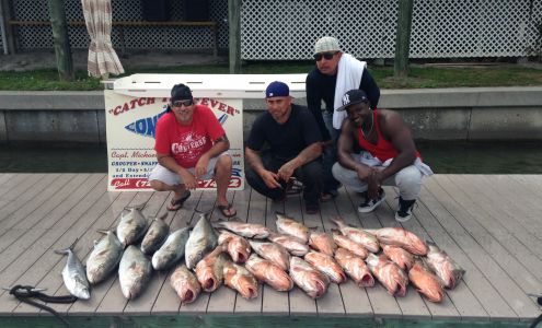 Contagious Deep Sea Fishing Charters Indian Rocks Beach