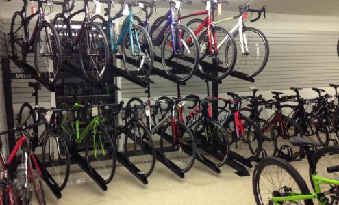 Jed's Perfect Endurance Bikes