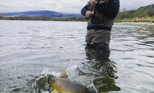 Bighorn Angler Fly Shop & Lodge Fort Smith