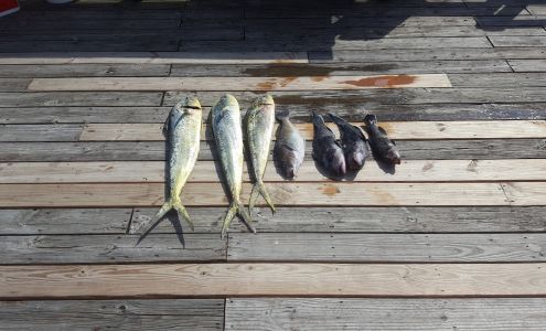 Sterling Harbor Bait & Tackle