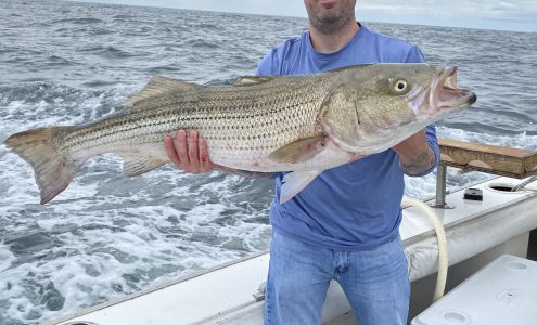 Chasing Tails Bait & Tackle