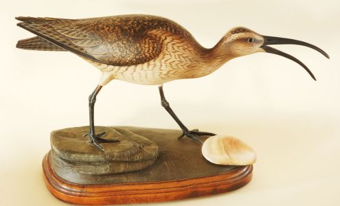The Bird Store- The Outer Banks Wildlife Art Gallery
