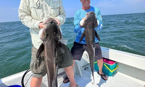 Salt Treated Sport Fishing Seaford