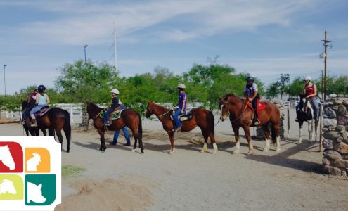 Therapeutic Ranch for Animals and Kids (TRAK)