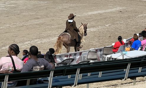 Germantown Charity Horse Show