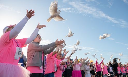 Hers Breast Cancer Foundation