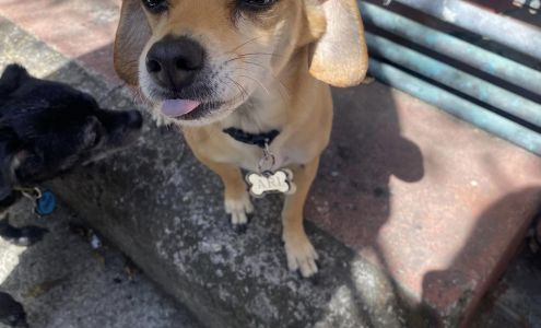 Alameda County Homeless Action