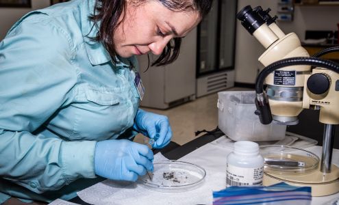 San Gabriel Valley Mosquito & Vector Control District