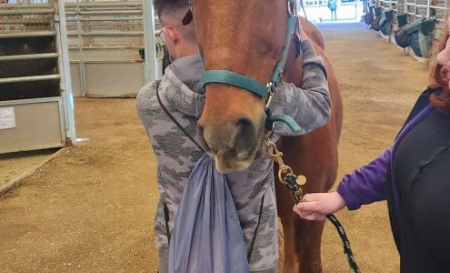 J F Shea Therapeutic Riding