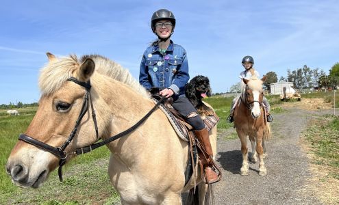 Therapeutic Riding And Off-Track Rehabilitation