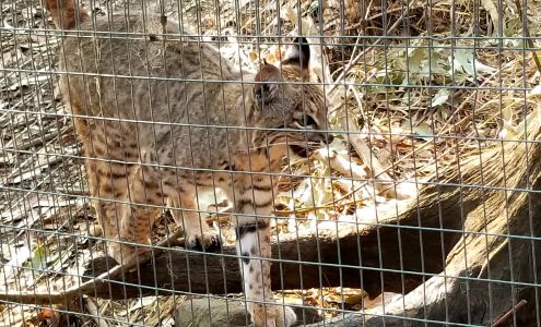 Sonoma County Wildlife Rescue