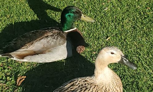 Monterey Peninsula Chamber of Commerce