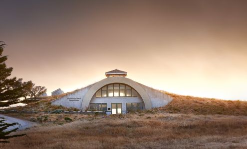 Friends of the Dunes