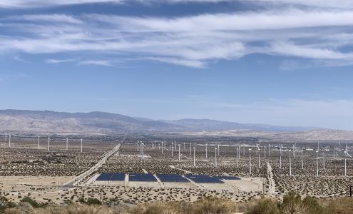 Guide Dogs of the Desert Whitewater