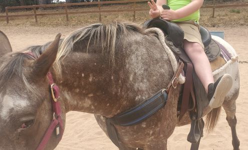 Rancho De Los Animales Inc