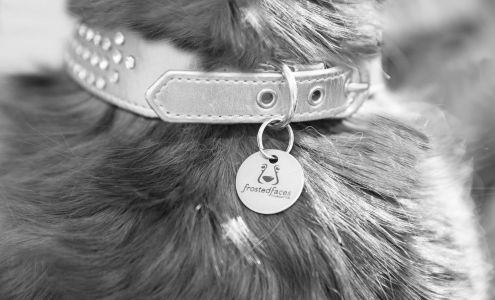 Frosted Faces Foundation