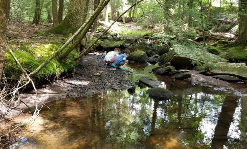 Roaring Brook Nature Center
