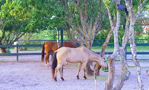 Bit-By-Bit Medical Therapeutic Riding Center