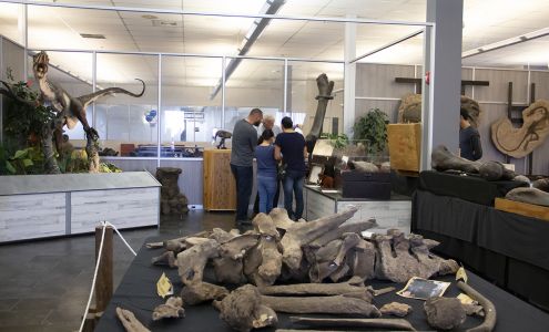 Creation Discovery Museum