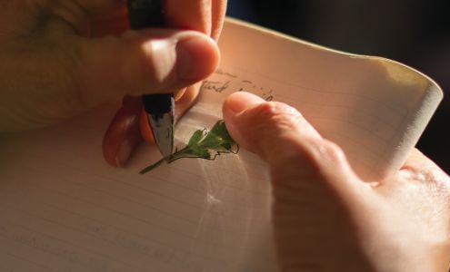 Florida School of Holistic Living