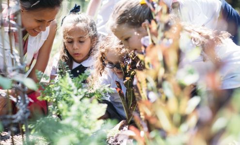 Creation Village World School