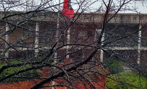 Solomon Family Solutions