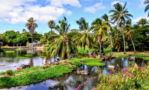 Mālama Loko Ea Foundation