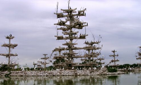 Lake Renwick Heron Rookery Nature Preserve