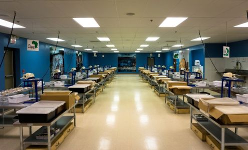 Feed My Starving Children