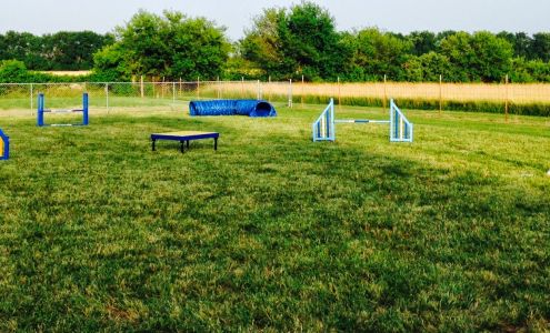 4 Paws at Camp Claircrest