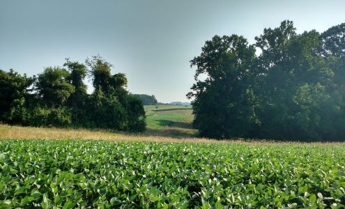 Natural Lands' ChesLen Preserve